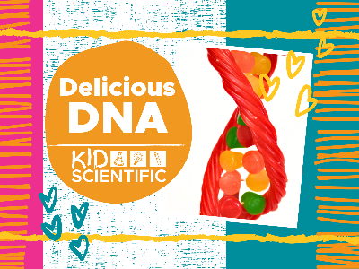 Delicious DNA Workshop (5-12 Years)